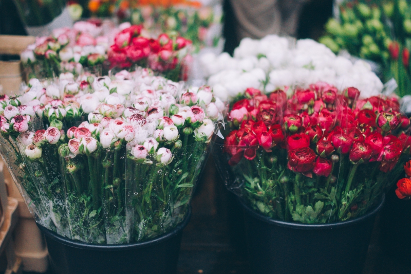 fleuriste-CARQUEIRANNE-min_farmers-market-1209712